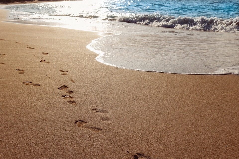 Image courtesy of Pixabay.com